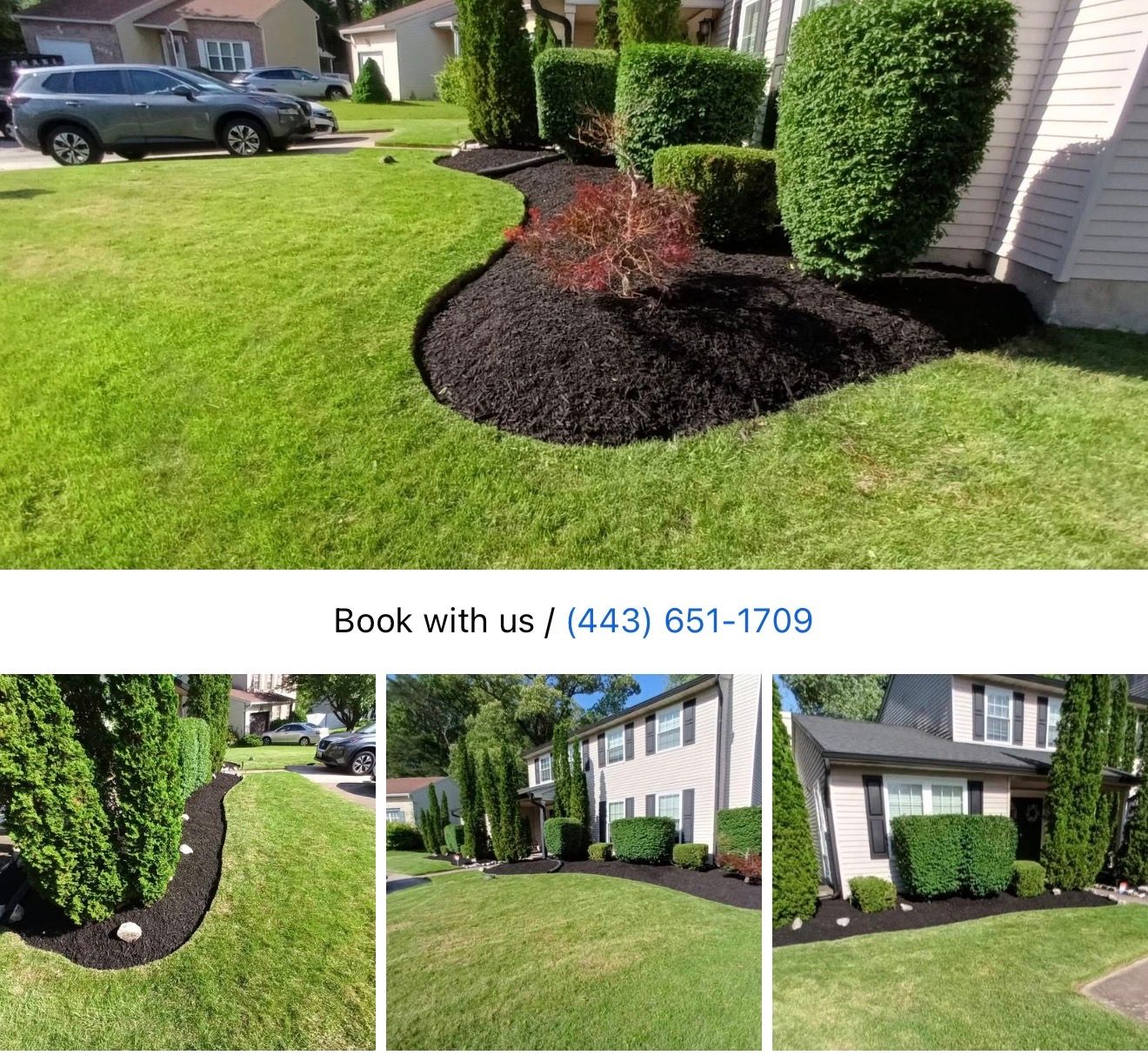 Landscaping & Lawn Care project image 2