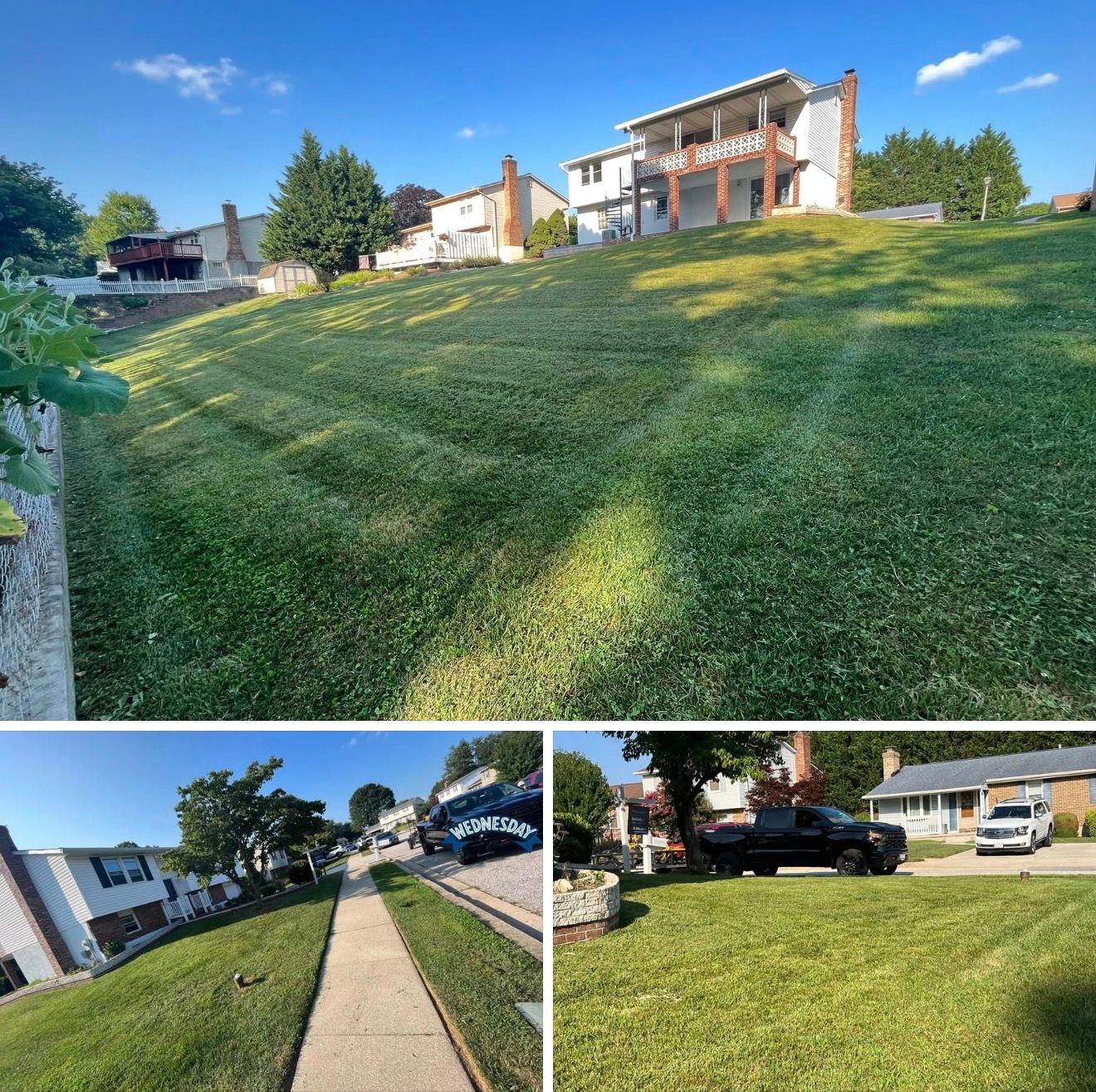 Landscaping & Lawn Care project image 3