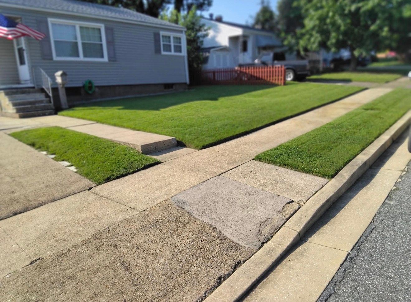Landscaping & Lawn Care project image 1